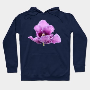 Tulipa 'Blue Parrot' Parrot Group Tulip Hoodie